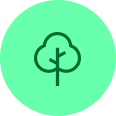 tree - Crunchr - Crunchr